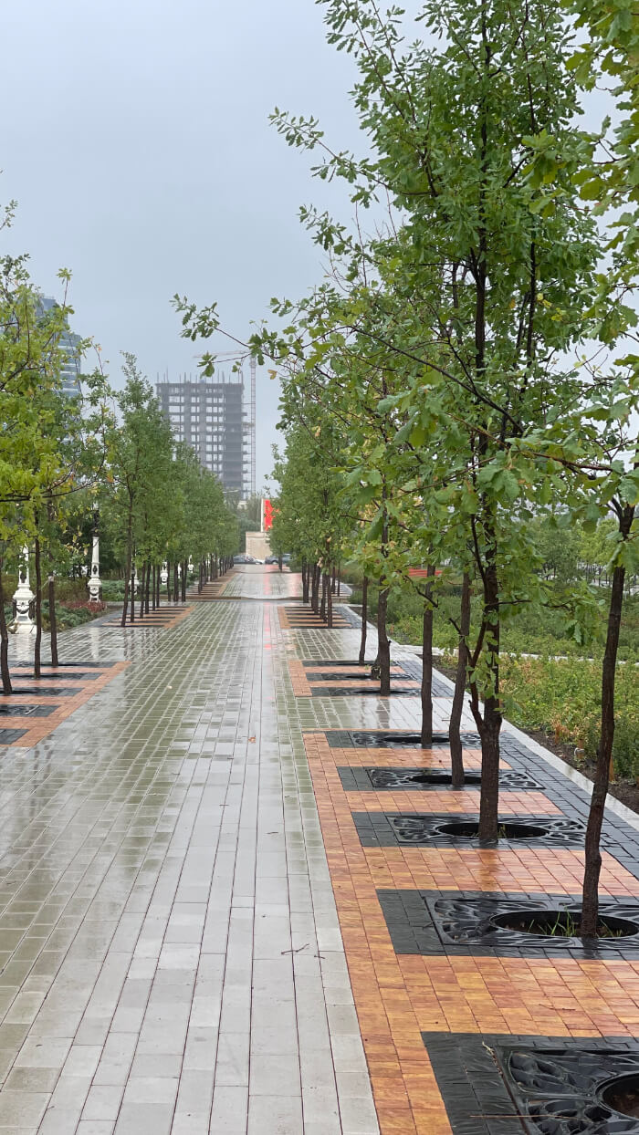 Приствольная решетка для дерева ZKING CRUST 1.2х1.2м Черная в Томске фото