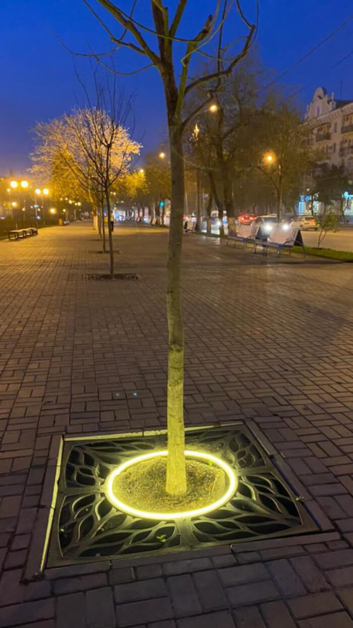 Приствольная решетка для дерева ZKING CRUST 1.2х1.2м Черная в Томске фото